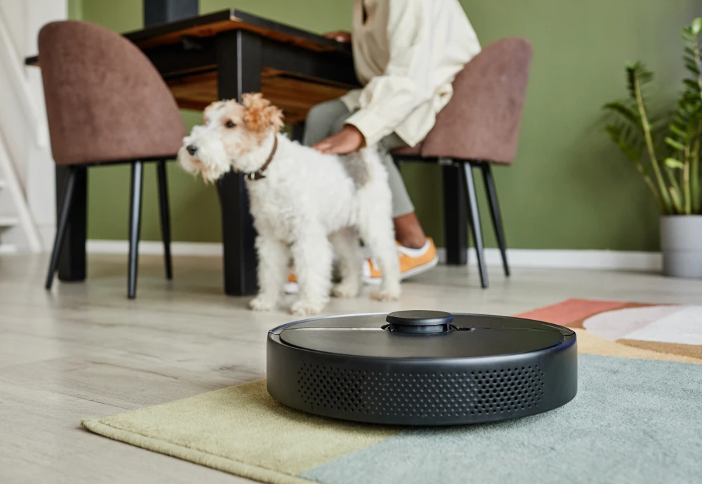 robot vacuum cleaner with charging station